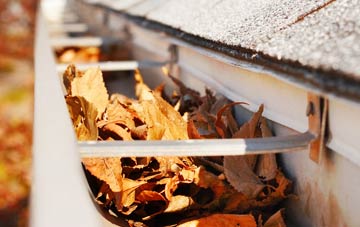 Tortworth gutter cleaning companies